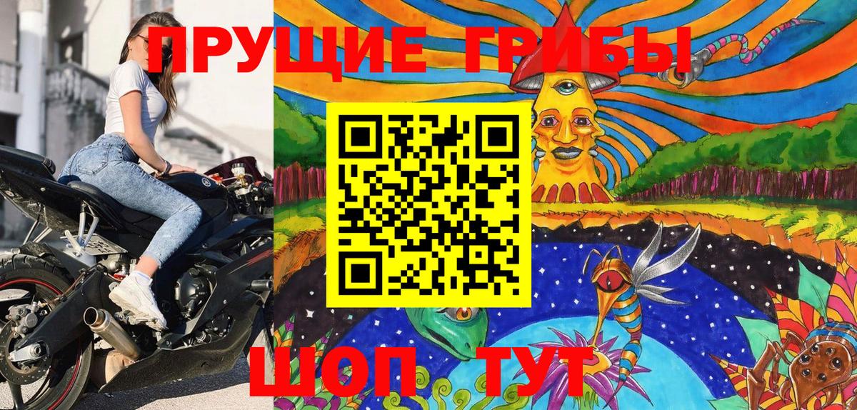 Гусиноозёрск  Псилоцибиновые грибы мухоморы  Вход с VPN 